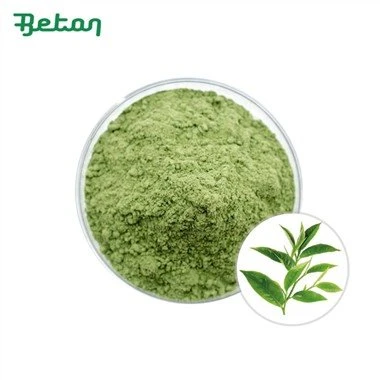 Biologische Matcha Poeder Bulk