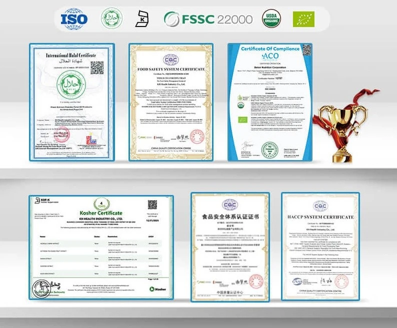 Certification Certification
